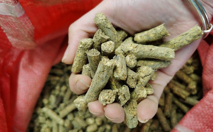 “小秸稈變身大能源。”該項目投資方負(fù)責(zé)人說，以往分散鍋爐房供熱成本高，供熱質(zhì)量不理想。如今，由生物質(zhì)發(fā)電的余熱供暖，熱效率達(dá)到80%以上，既可緩解煤炭短缺情況，又推動清潔供熱，為“碳達(dá)峰”“碳中和”目標(biāo)實現(xiàn)貢獻(xiàn)力量